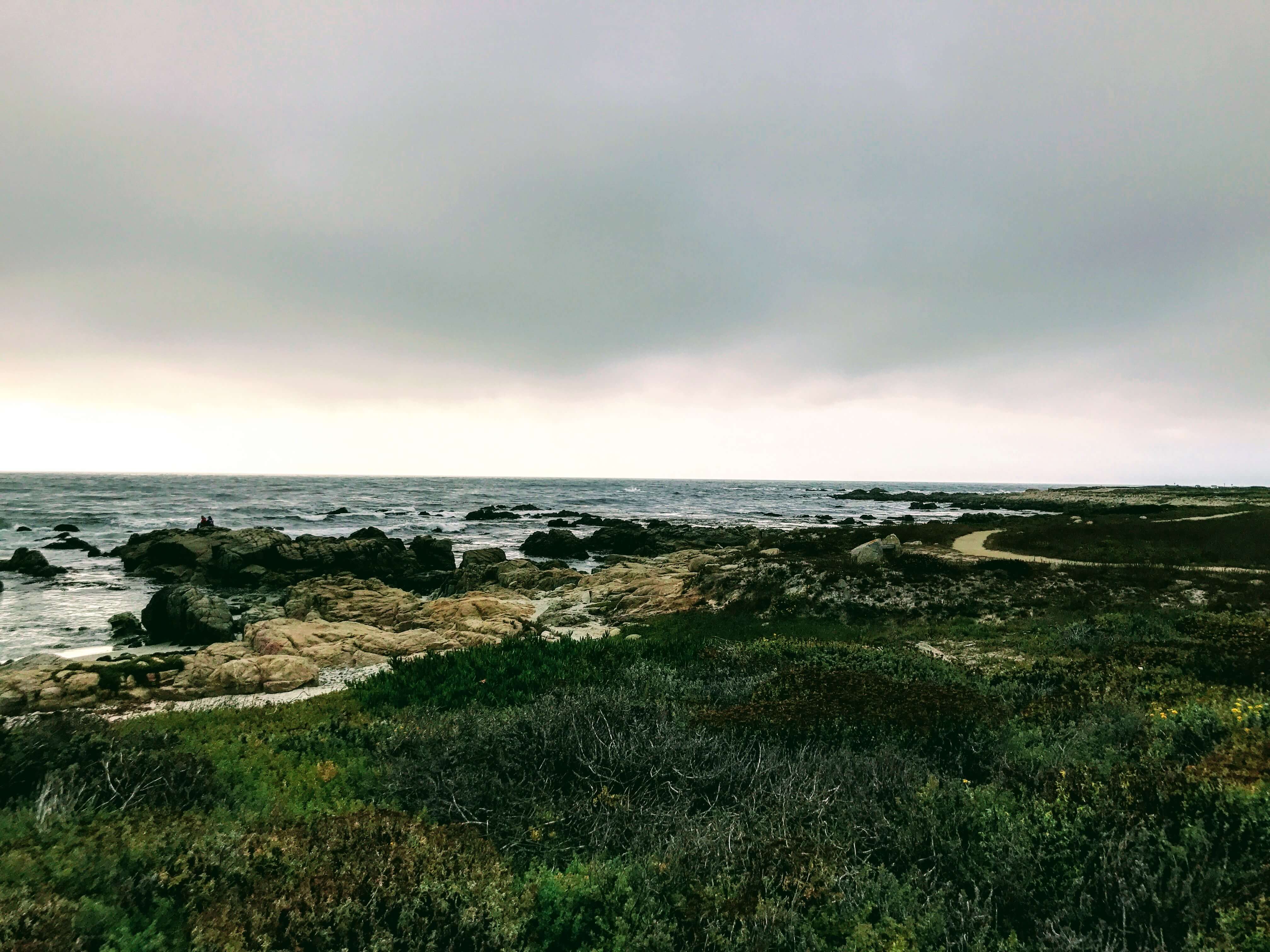 Gorgeous California coastl on the 17-mile drive