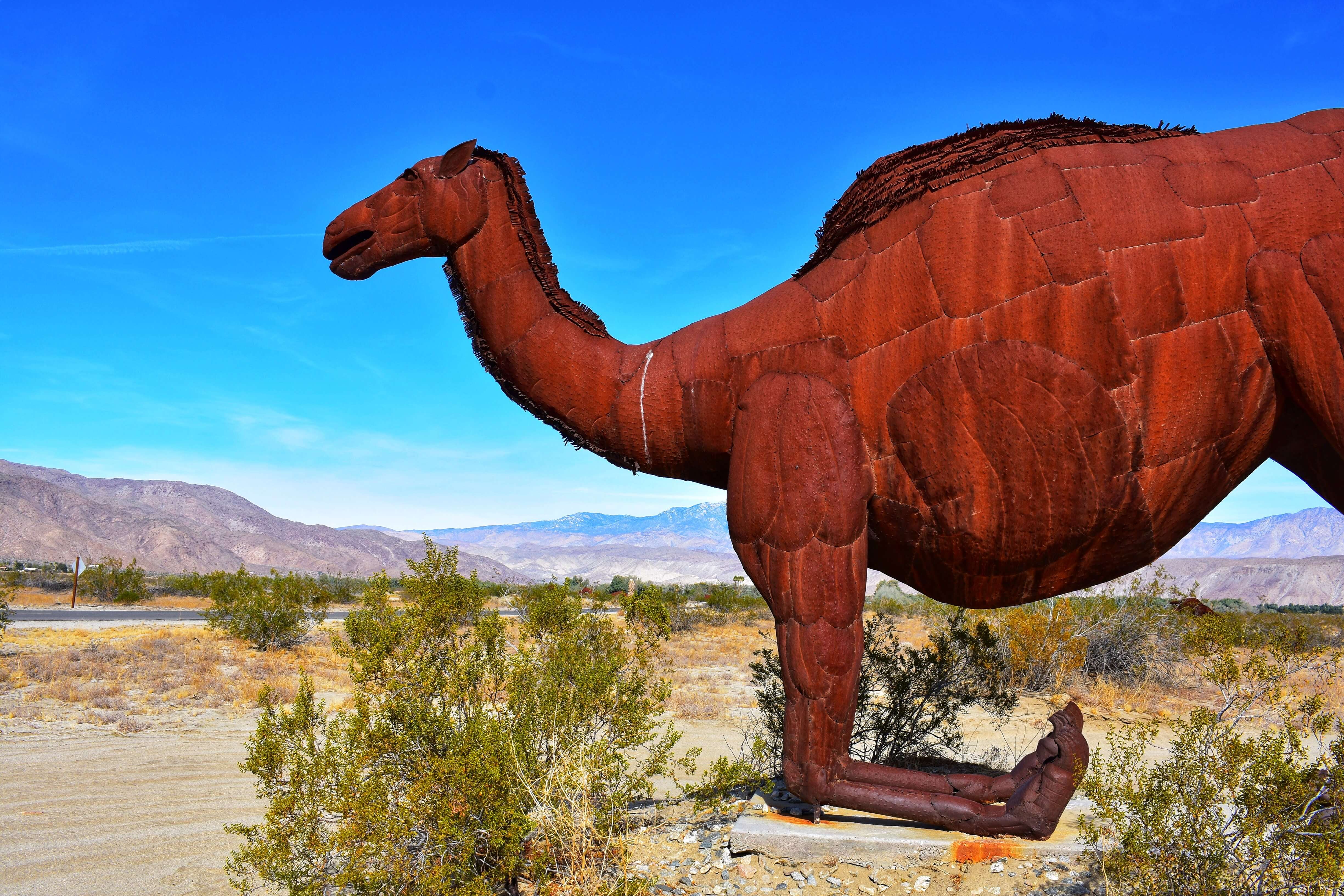 Camel sculpture in the middle of the desert