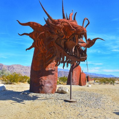 Snake head coming up from the desert ground