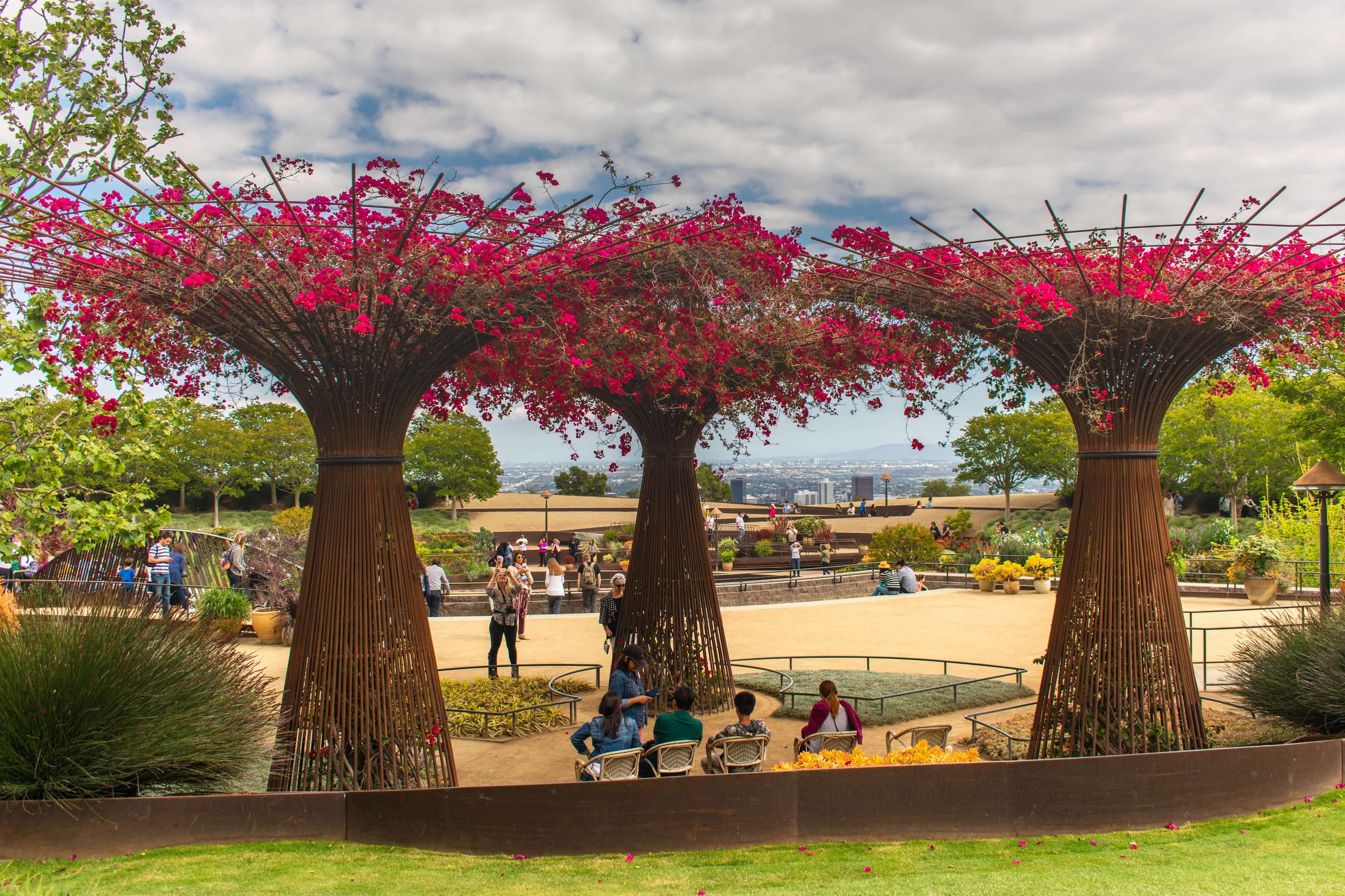 Bougainvillea arbors in the getty garden overlooking a view of los angeles