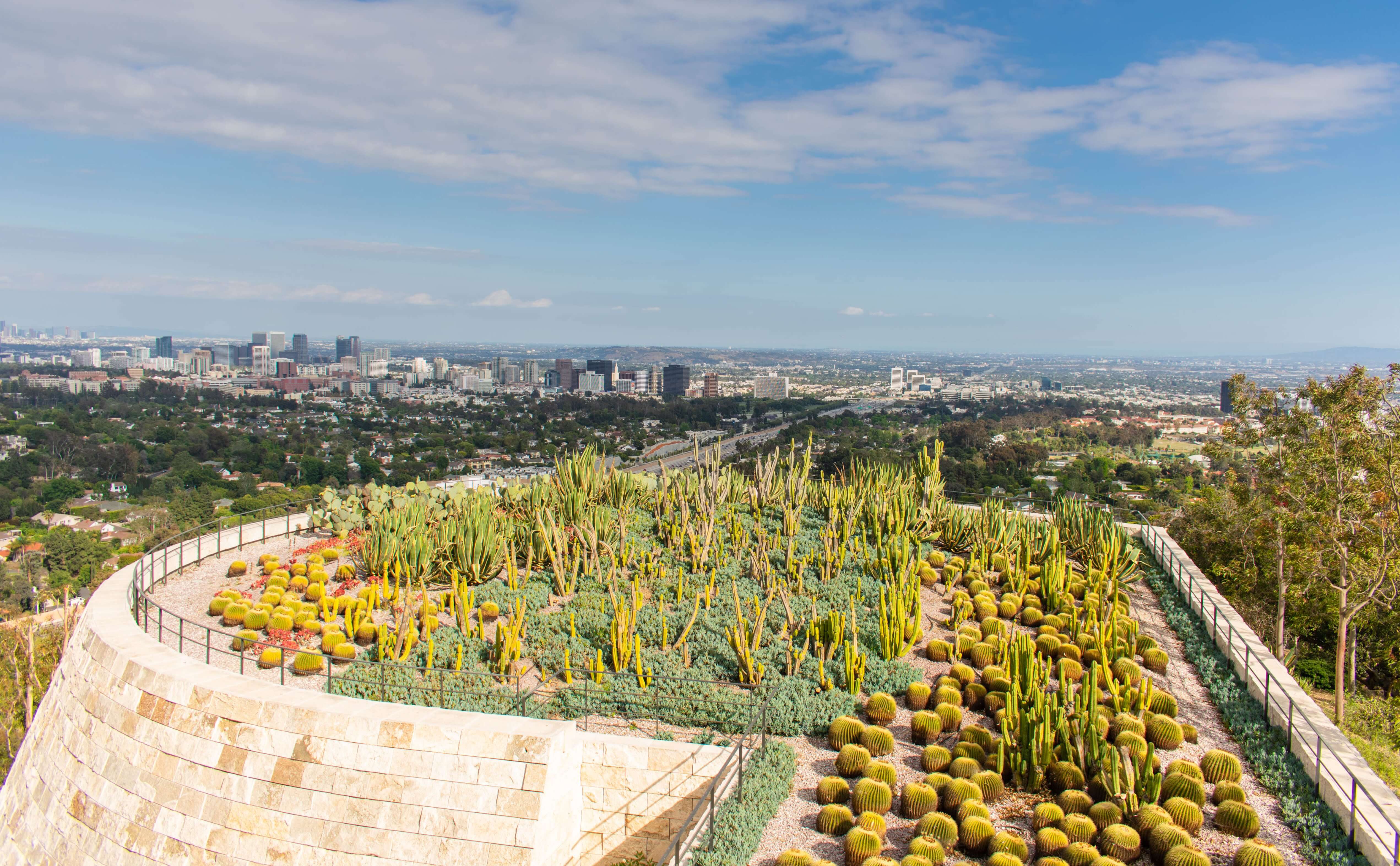 Beautiful cactus garden overlooking the view of los angeles