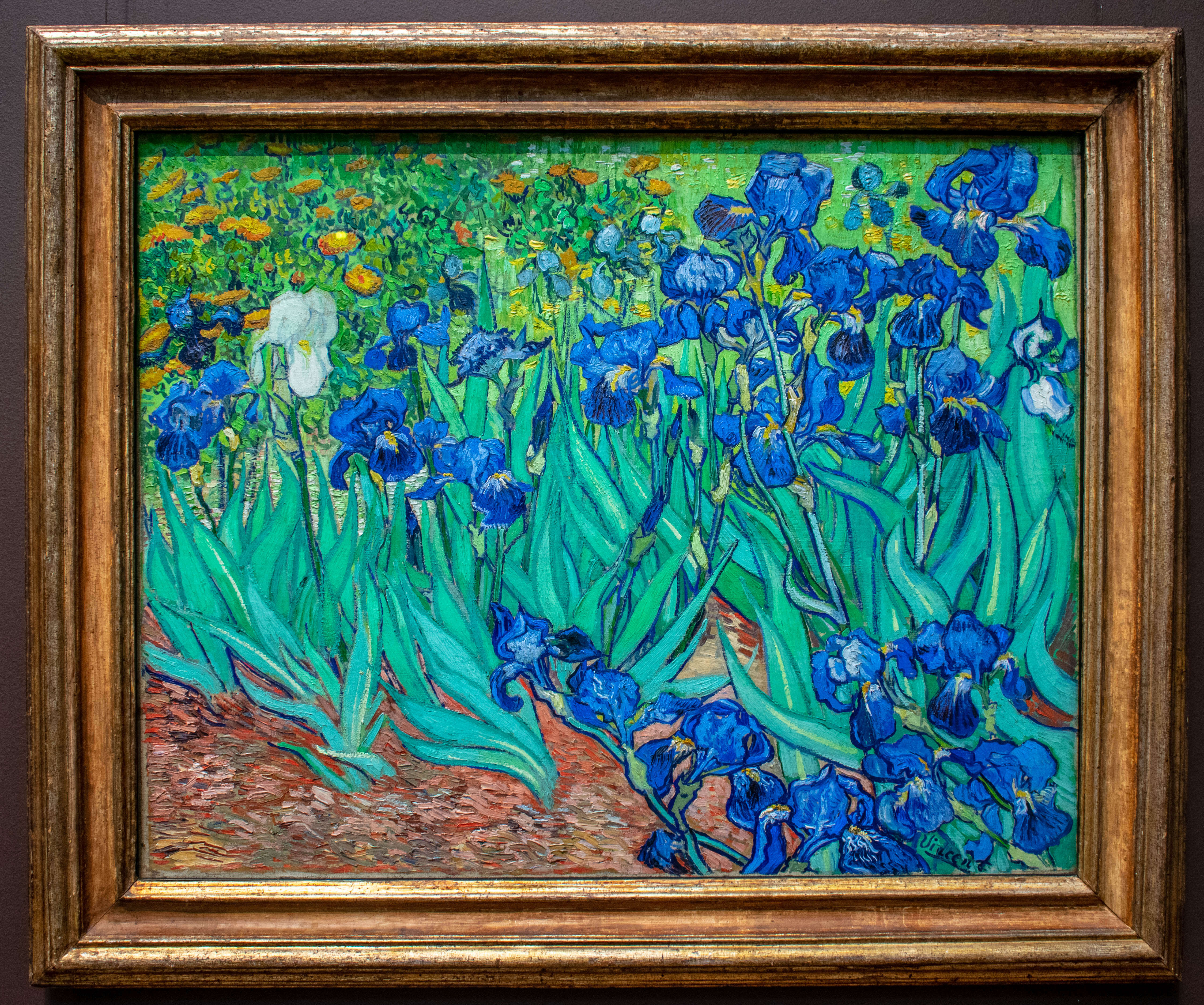 photo of vincent van gogh irises painting with blueish purple flowers