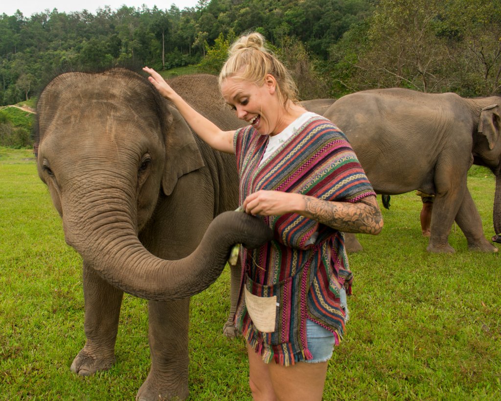 Me in the middle of a field feeding an elephant