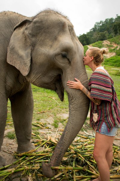 Me with my hair in a bun giving and elephant a kiss on the trunk