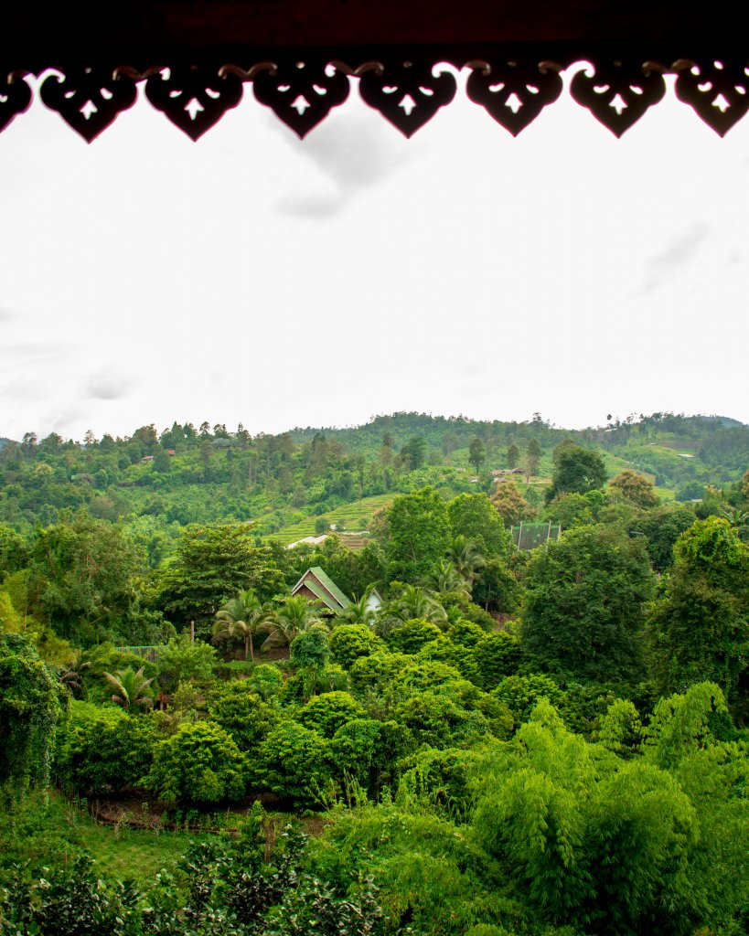 view from our accommodations overlooking the jungle in Chiang main