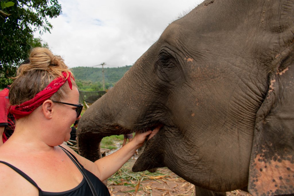 Jordi feeding the elephant directly in its mouth