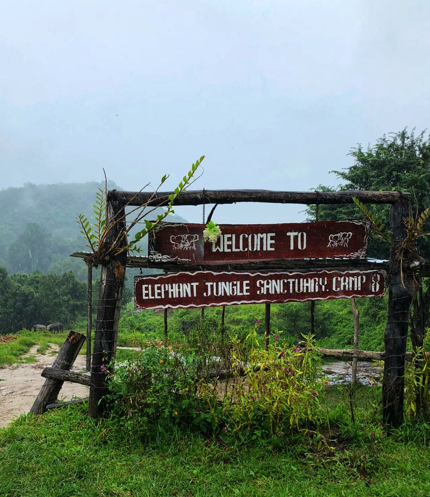 wooden sign that says Welcome to Elephant Jungle Sanctuary Camp 8, its raining and there are elephants in the background