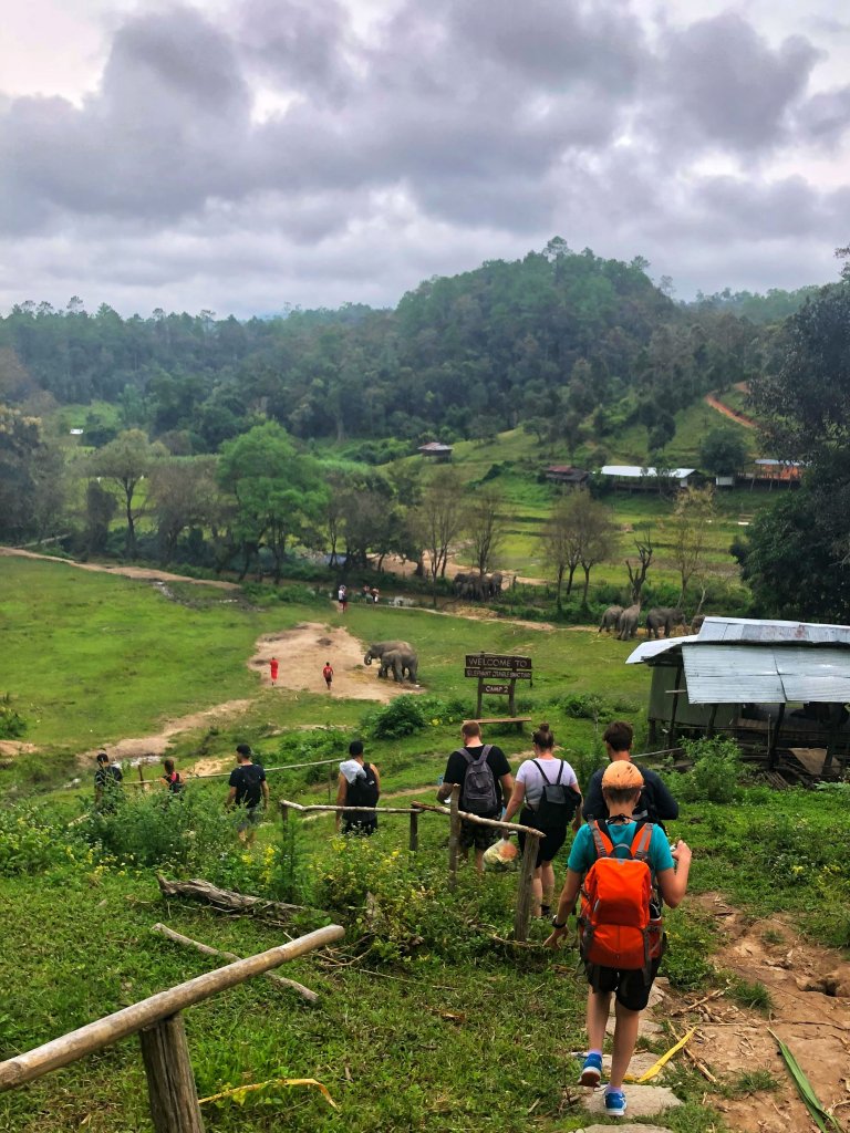 Hiking down to our day camp at elephant jungle sanctuary, jungle with elephants in the distance