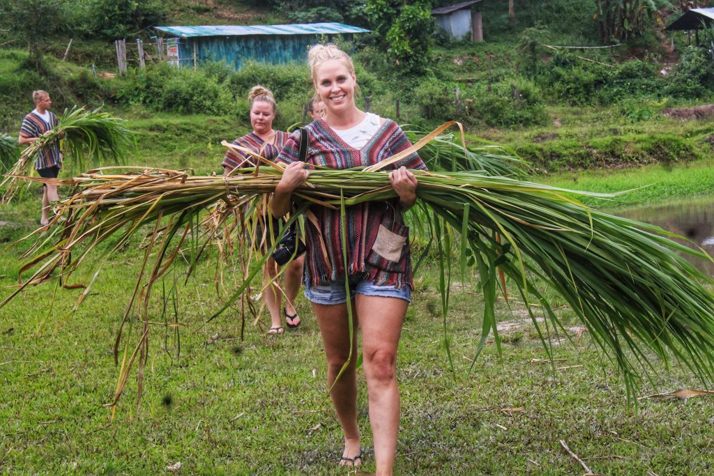 carrying lots of grass across a field to feed the elephants