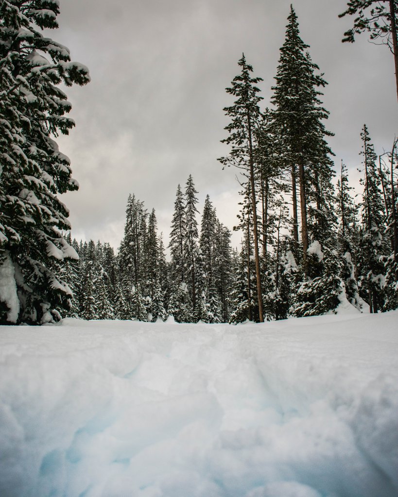 snowshoeing Crater Lake National Park in Oregon