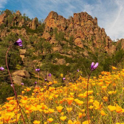 Pinnacles National Park