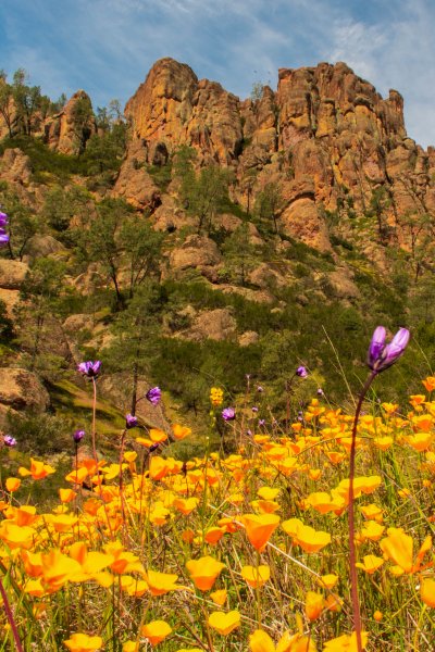 Pinnacles National Park