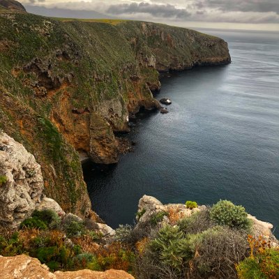 Day Trip: Channel Islands National Park | Santa Cruz Island